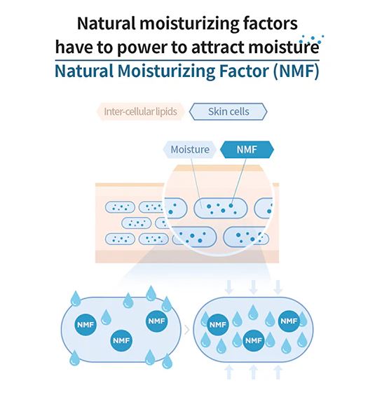 AESTURA Atobarrier365 Hydro Essence 200ml