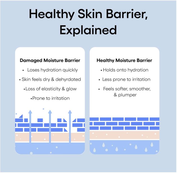LANEIGE Water Bank Blue Hyaluronic Cream Moisturizer 50ml